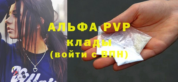 ECSTASY Белокуриха