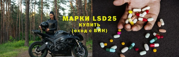 ECSTASY Белокуриха