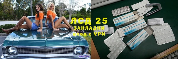 ECSTASY Белокуриха