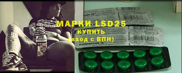 ECSTASY Белокуриха