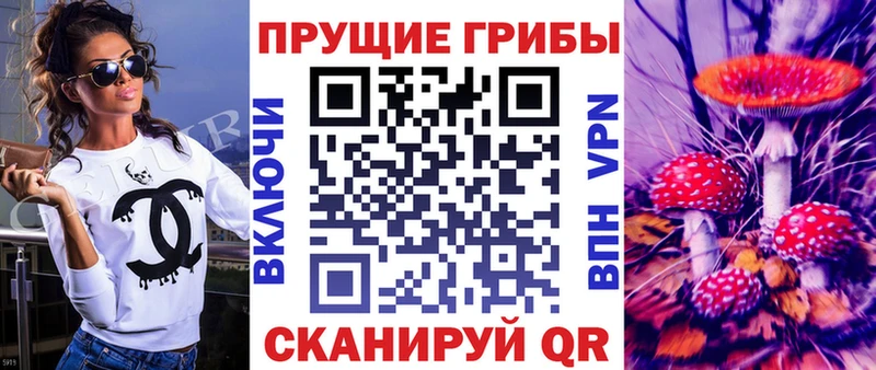 shop формула  Тулун  Псилоцибиновые грибы мухоморы  цены наркотик 